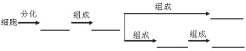 360优课网