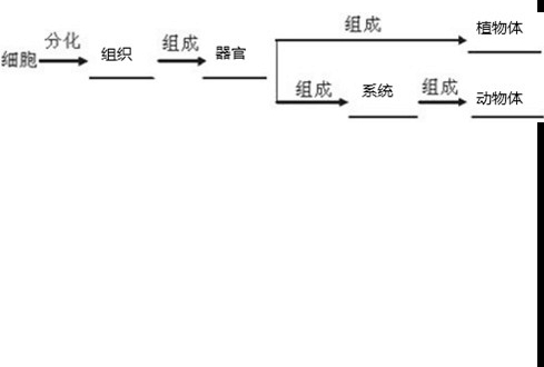 360优课网