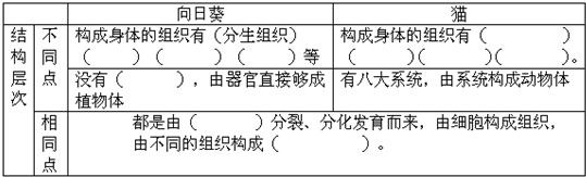 360优课网