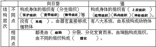 360优课网