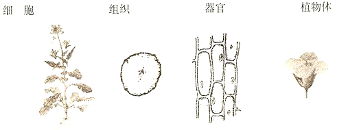 360优课网