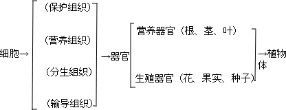 360优课网