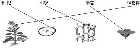 360优课网