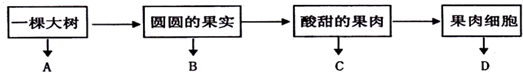 360优课网