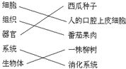 360优课网