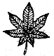 360优课网