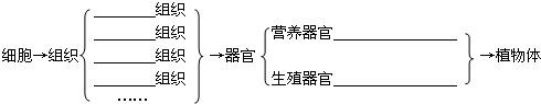 360优课网