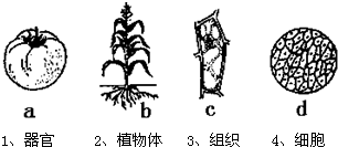 360优课网
