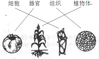 360优课网