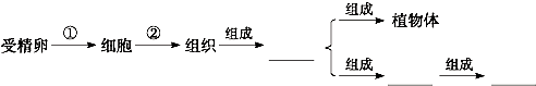 360优课网