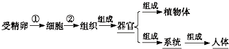 360优课网