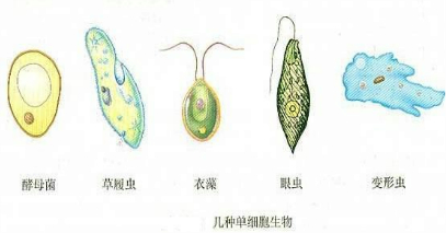 360优课网