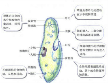 360优课网