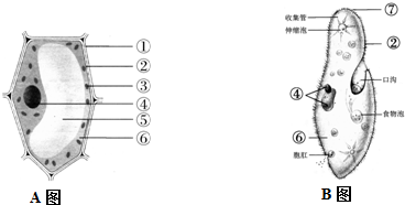 360优课网