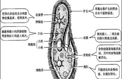 360优课网