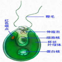 360优课网