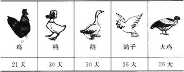 360优课网