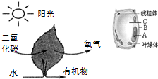 360优课网