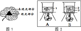 360优课网