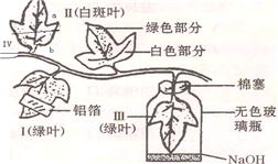 360优课网