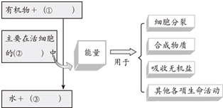 360优课网