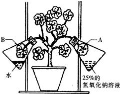 360优课网