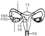 360优课网