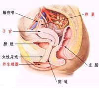 360优课网