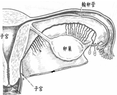 360优课网
