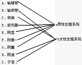 360优课网