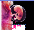 360优课网