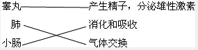 360优课网