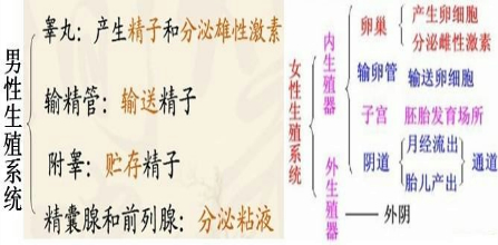 360优课网