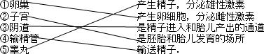 360优课网
