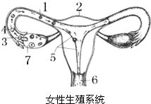 360优课网