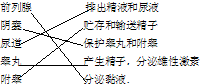 360优课网