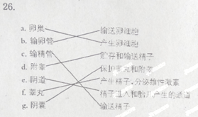 360优课网