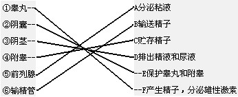 360优课网