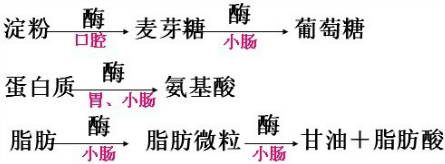 360优课网