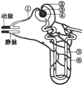 360优课网
