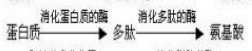 360优课网