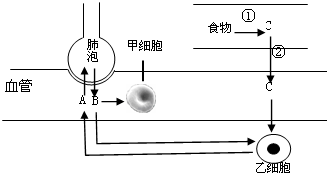 360优课网