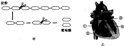 360优课网