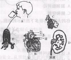 360优课网