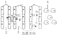 360优课网