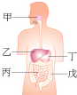 360优课网