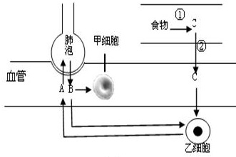 360优课网