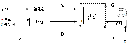 360优课网