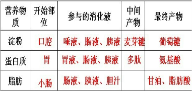 360优课网