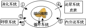360优课网